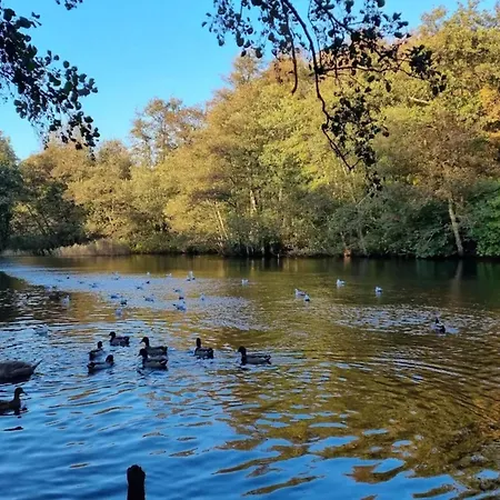 Nyaraló 8 Person In Bogense-by Traum *